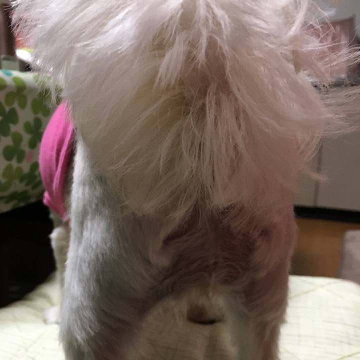 351485c7 657e 4fd2 b89a 34fe1a03b3c2