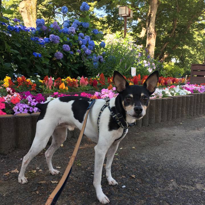 3514f5c0 5a4f 4d8d bc18 5ea040e1576a