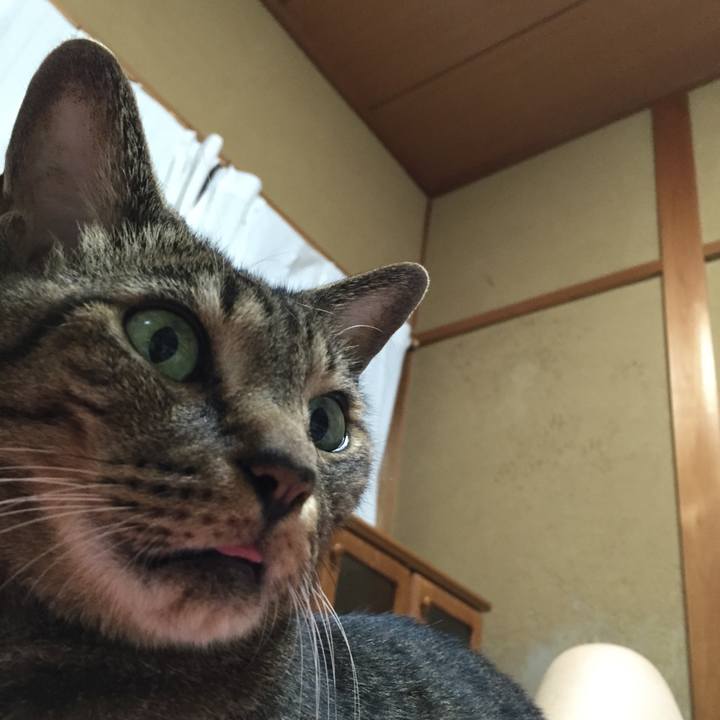 35151488 6fb2 447a 9fad 50d602a0eaca