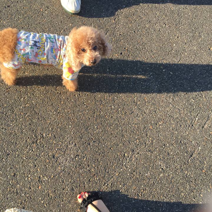 3515198b f69b 4944 81d7 492984c0313f