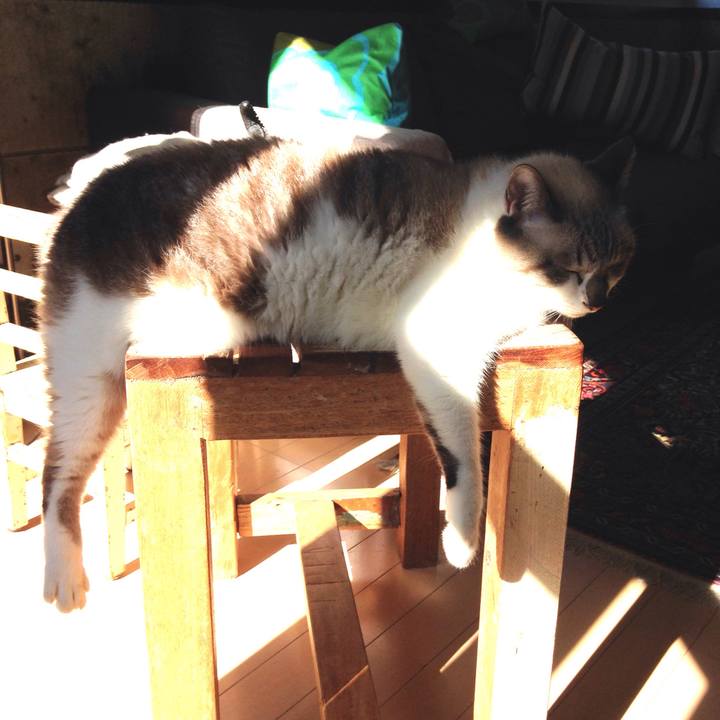 351530cd 488a 40c0 99cb d397d0c1127a