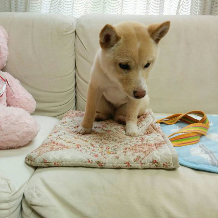 351653a9 616e 4a75 a09f 9ff3a52f590e