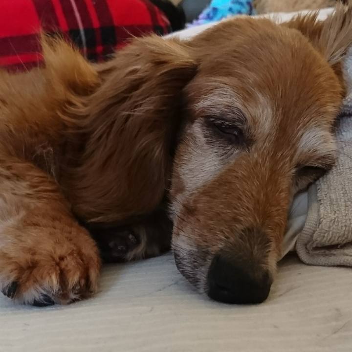 3516c82d d989 4a81 aa36 b8b86caf8edd