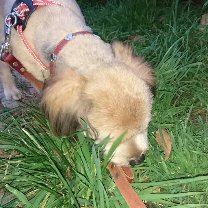 35171c97 8317 4abe a3c8 e1359aecdf06