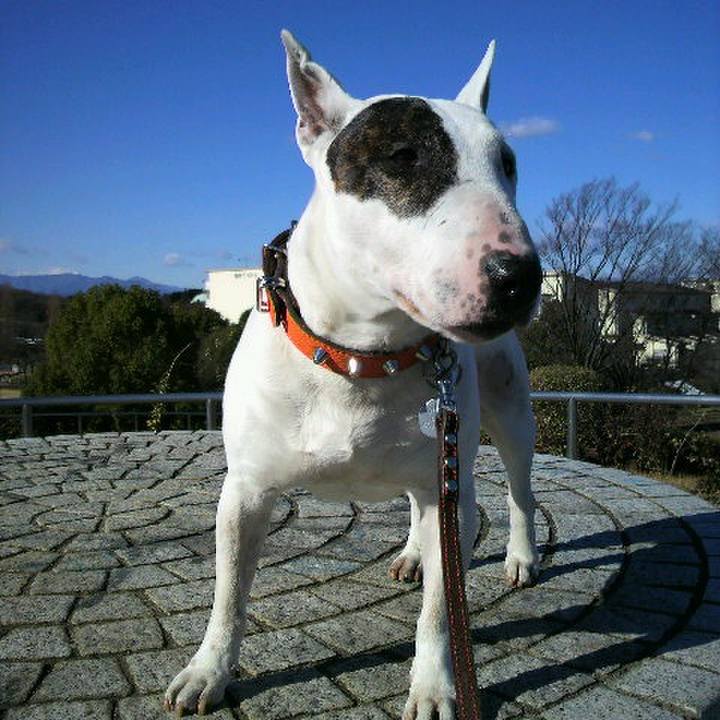 35174421 b27e 441c 8538 a343f8658ba0