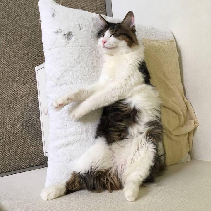 35175c09 33f1 4222 8330 c9ec445d97ef