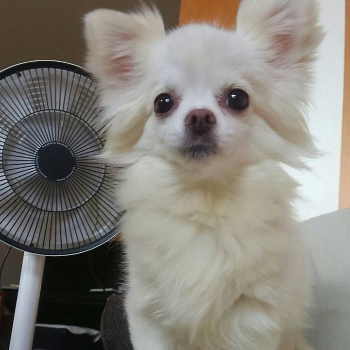 351795ff f595 4a11 a417 934f5f2babd7