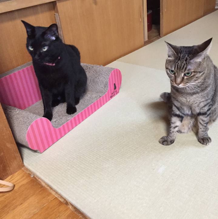 3517d025 5f76 4028 9636 970d8e250a06