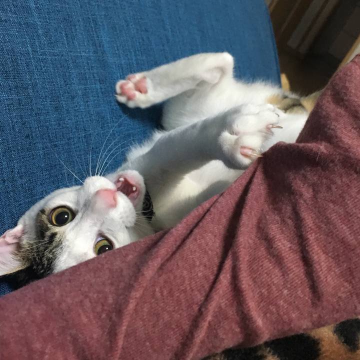 35180441 8bbc 4800 8eec ac6773c923a2