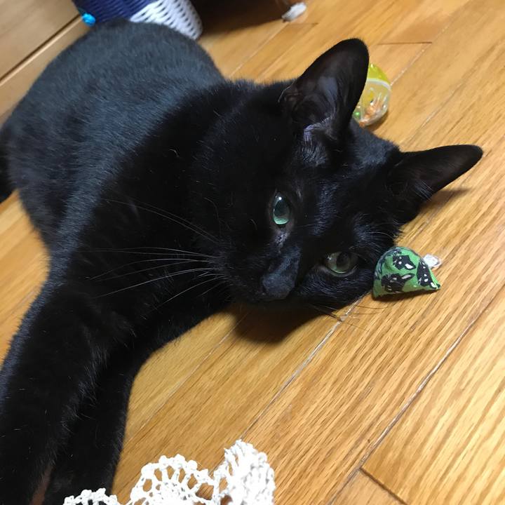 35182eac 4194 4a51 a8ba a94ec71e42a1