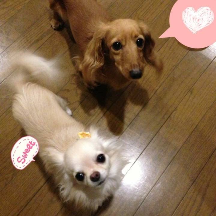 35183f94 11c8 4637 906e d929353a5a54