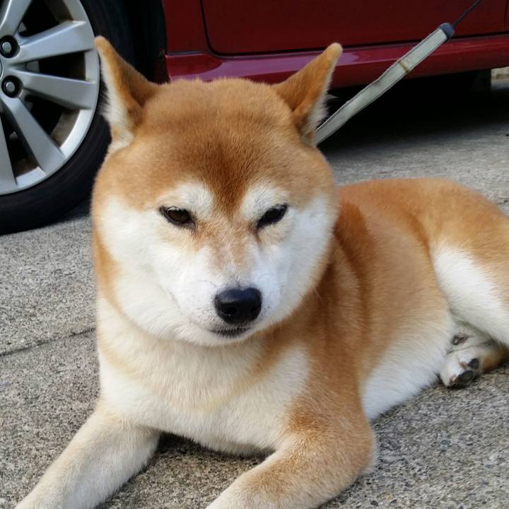 351896ac dadd 4819 886d 71d7276a6ba0