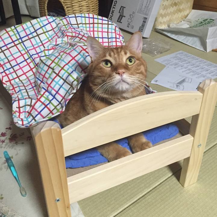 35190388 c579 4ee4 88e8 4dc21bcb4325