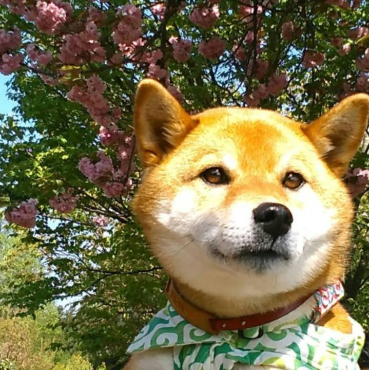 3519b537 76dc 4c32 b0da 3720e704cfe1