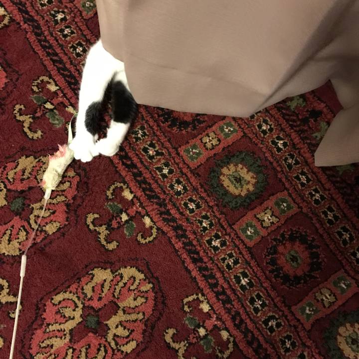 3519ec7c ed9a 4345 8ea1 a93001143440