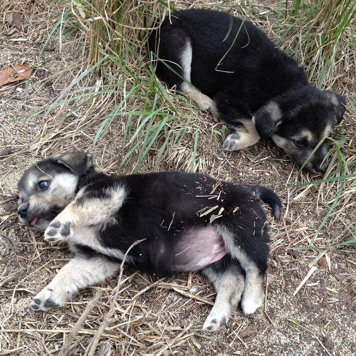 3519fdd2 9eb4 43c4 a28f 68a1df0b18aa