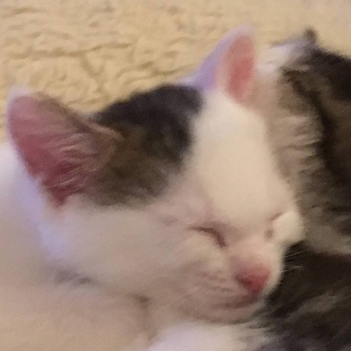 351a724d 2a04 4c21 ac36 16917ba78553