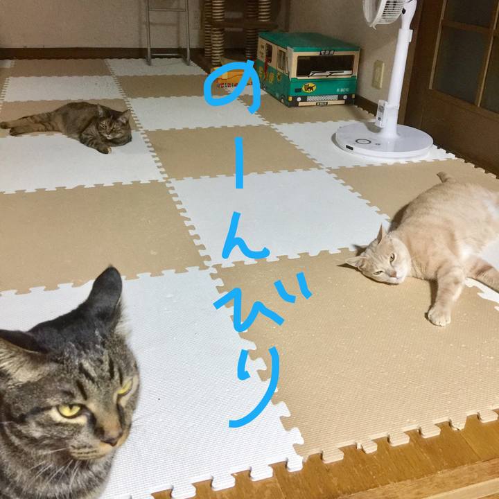 351b6774 c9a0 408c b053 fb3dd258bb8b