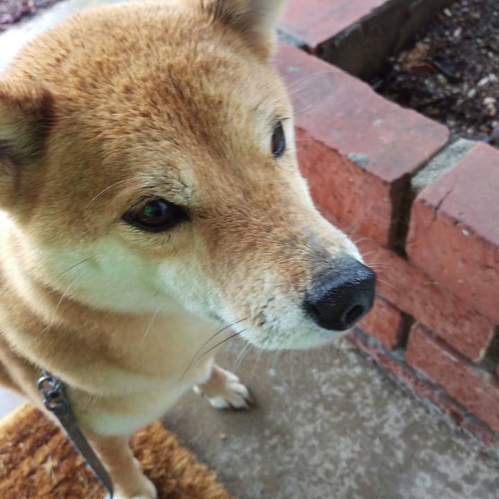 351c544c 341c 4c7b bb39 75b274e9a99f