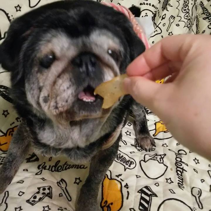 351cc196 ecb8 462f 8d39 34425763f56c