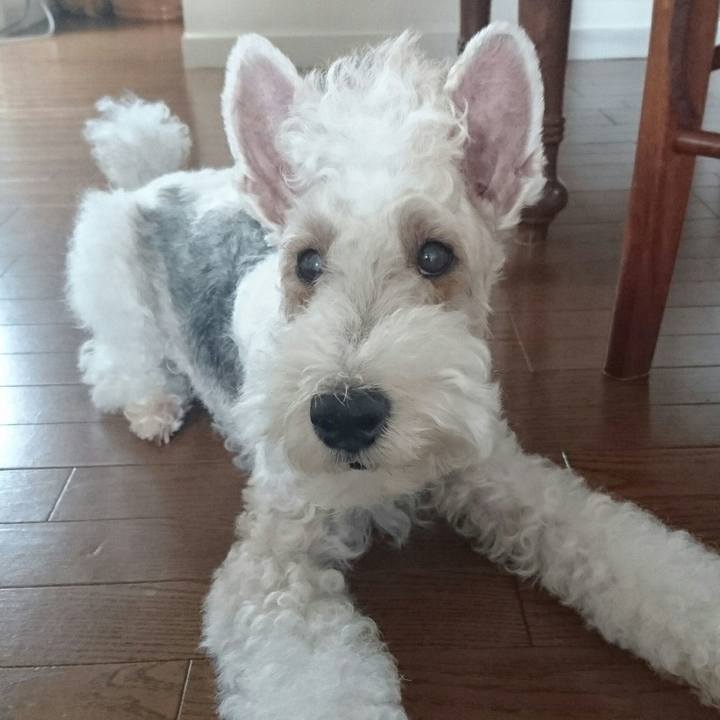 351d39f3 f50e 40e6 8f89 3662aa1a396f