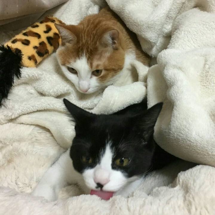 351d7774 f05c 4d3c 9f46 b60fd8772330