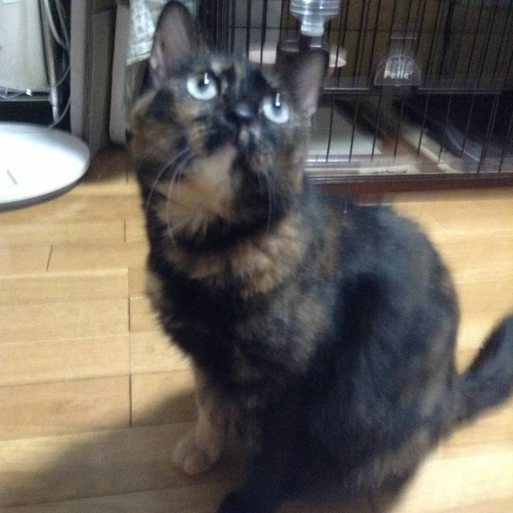 351e6c21 03c4 4155 afc6 fc958bc7d0ff