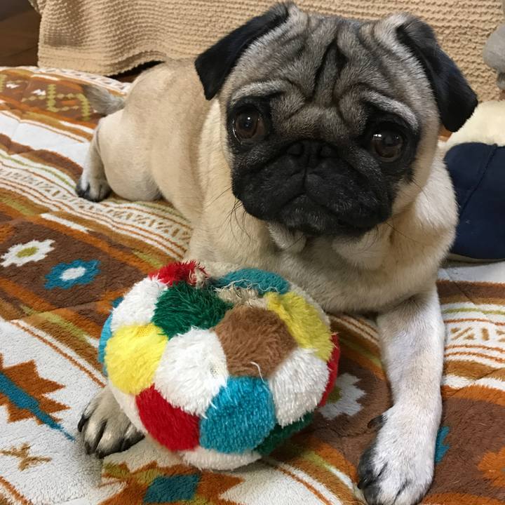 351e799a 332c 4ded a1ad 3c3a9e5f2f51