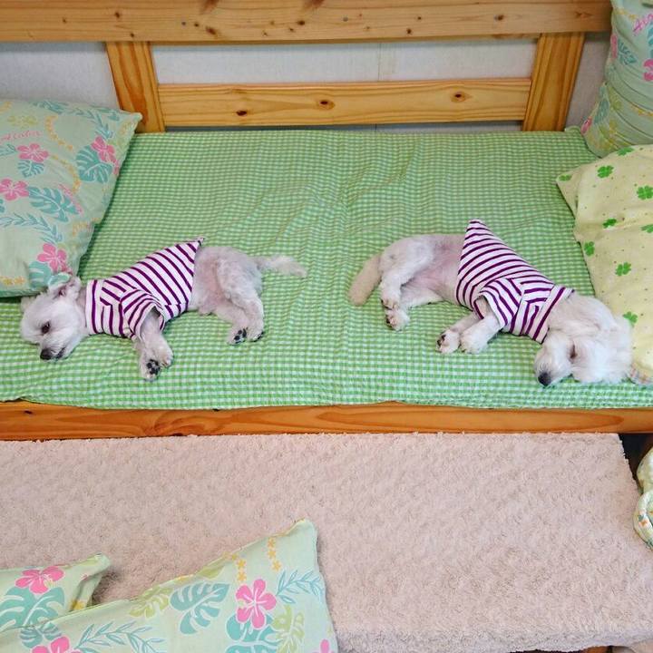 351e80d7 7410 499f a246 1df01e142277