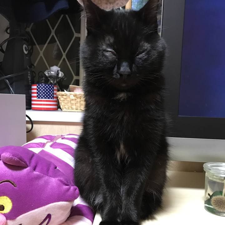 351ea3e9 dcca 462b a5ce 1336ada9b7d0