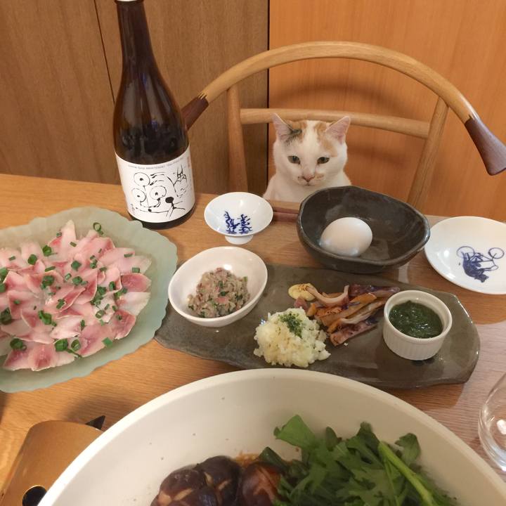 351ec830 6c4e 4282 a843 ea2484a9d8ac