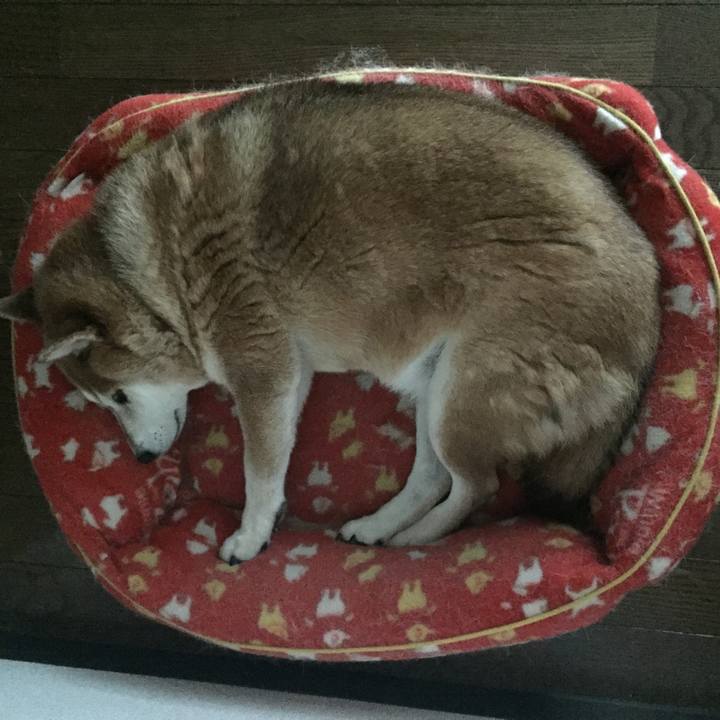 351ef5cb e9fa 4192 a4fa 80cc0e97ff52