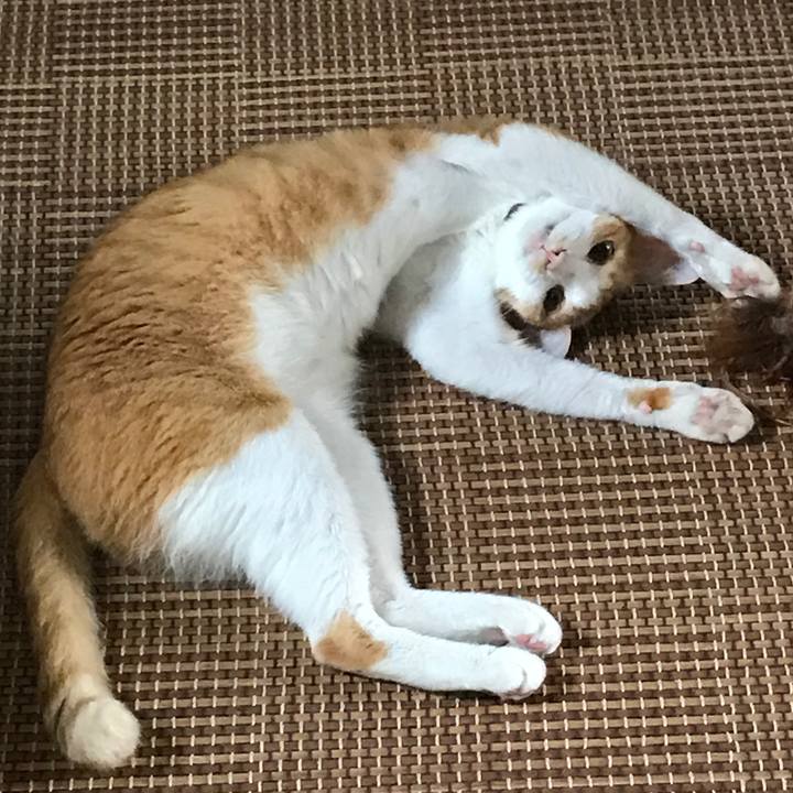 351f1f28 4912 4d42 afcb 617dc862a898