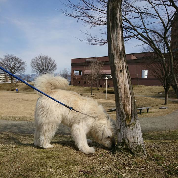 351f595e 5d9a 47d9 a7cd 113570c418d4