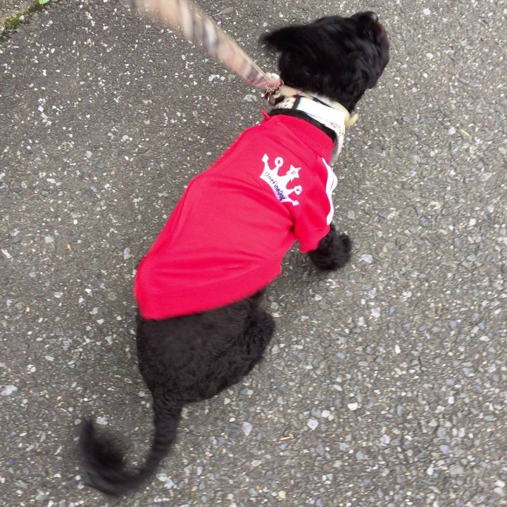 35203d53 e63a 45b1 b52b 40a07e7bbf79