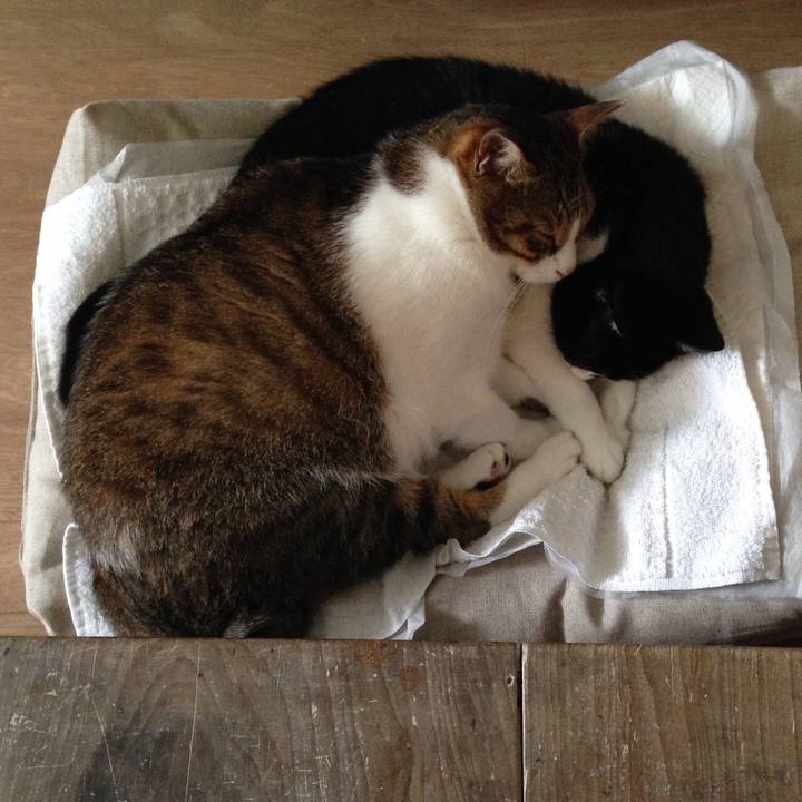 35209b6b 65ca 46f1 9897 0bf784fffb7f