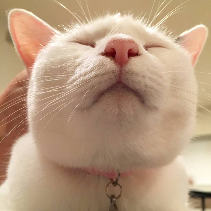 3520ae56 c893 4d16 8672 b28f725ea379