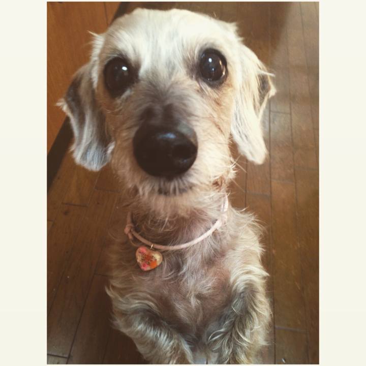 3520aef3 b7eb 4f47 892d 4a61cbeef221