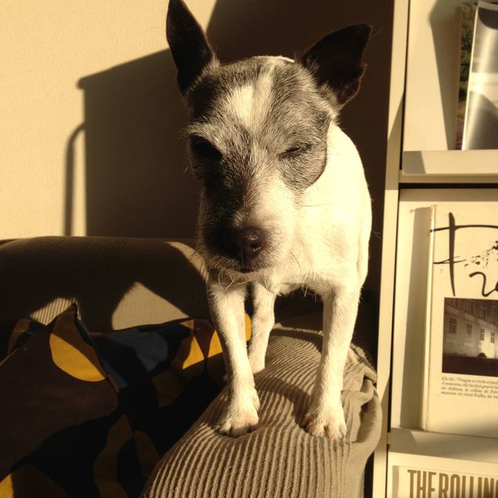 3521cecc bf35 4075 8789 faecde50510c