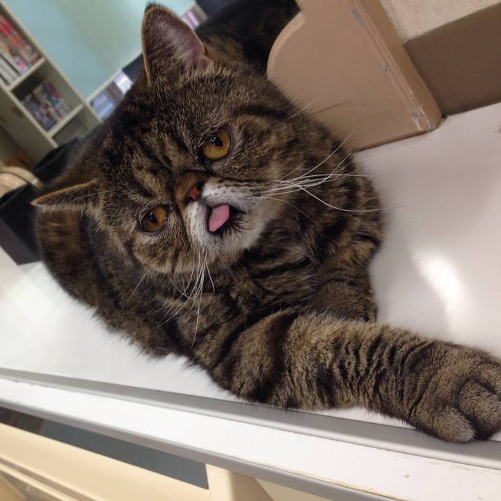 352236a5 d5b9 4ce0 9ac5 8c2bc830341a