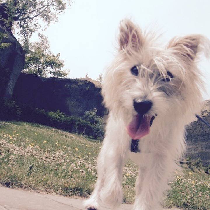 35224408 d30a 4abb bacc b89b418652cd