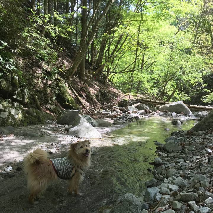 3522b78e 79b8 4e5f 9b92 9b09ef27c610