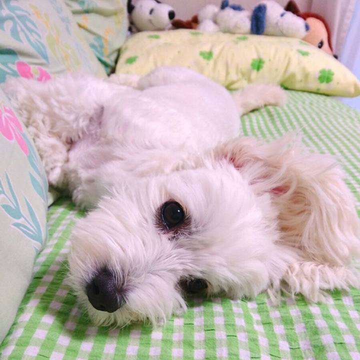 35235535 03bf 41d8 89f4 78c7357d5cac