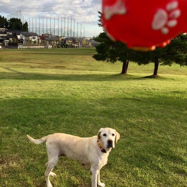 35238853 23e5 4e1a a88c de5470f3ce8f