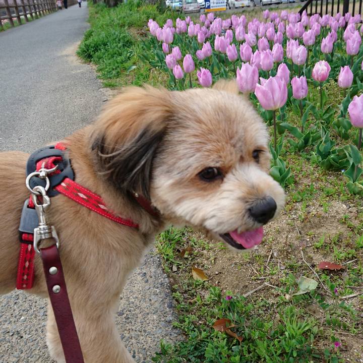 352500bd 5b9d 46cf ad42 c1ce176bd491