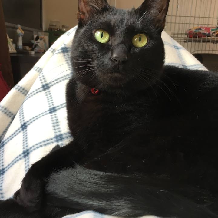 3525267b 9792 46fa 9c11 6f7730d8fd30