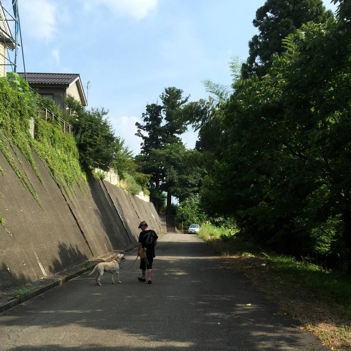 352544ae 4ec6 4773 b936 f2dc7804eea3