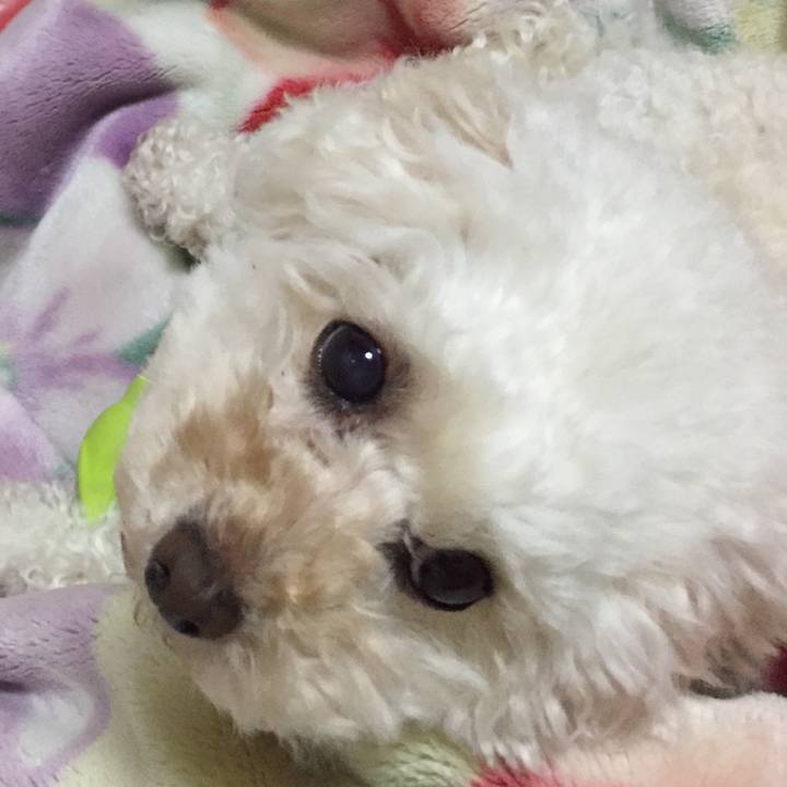 3526dba4 b17f 45d6 a819 5ae48e149ea5