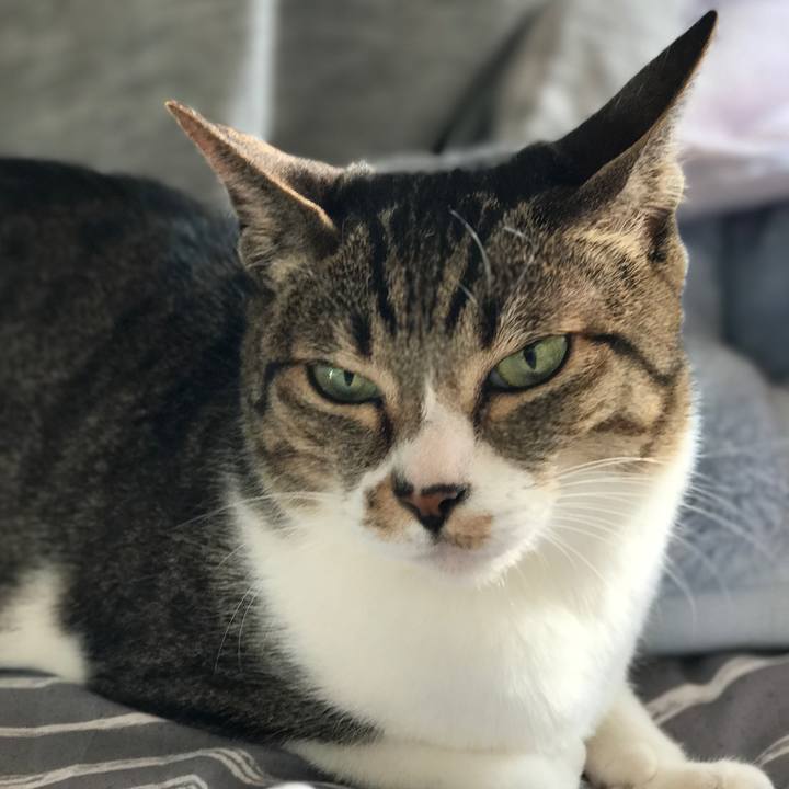 35272b23 09a2 4201 9219 97ddf653cb23