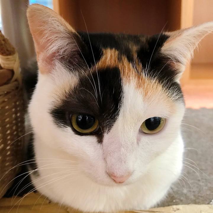 352736b5 e031 4688 80a7 b75eeb934472